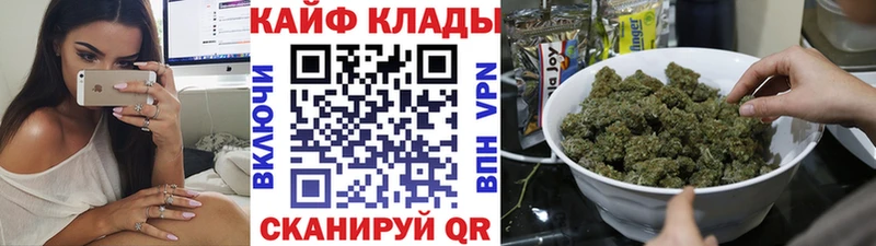 Где купить Канаш Галлюциногенные грибы Конопля Меф ГАШ