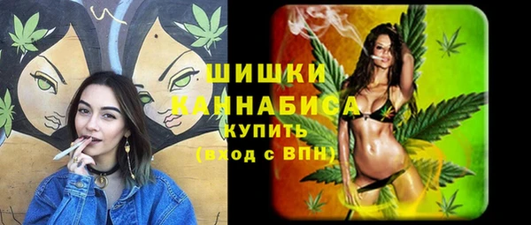 амф Заволжье