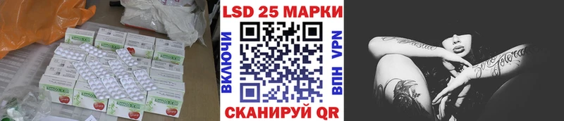 дарк нет клад  Канаш  ЛСД экстази ecstasy 