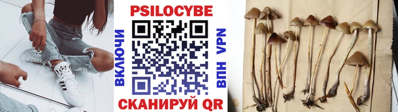 Псилоцибиновые грибы мухоморы  Канаш 