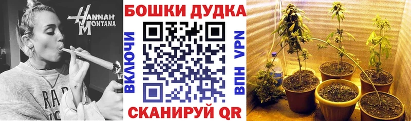 купить Канаш Марихуана Bruce Banner
